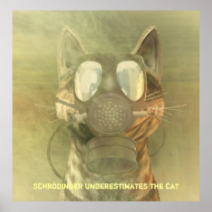 Schrödinger unterschätzt das Katzenplakat Poster