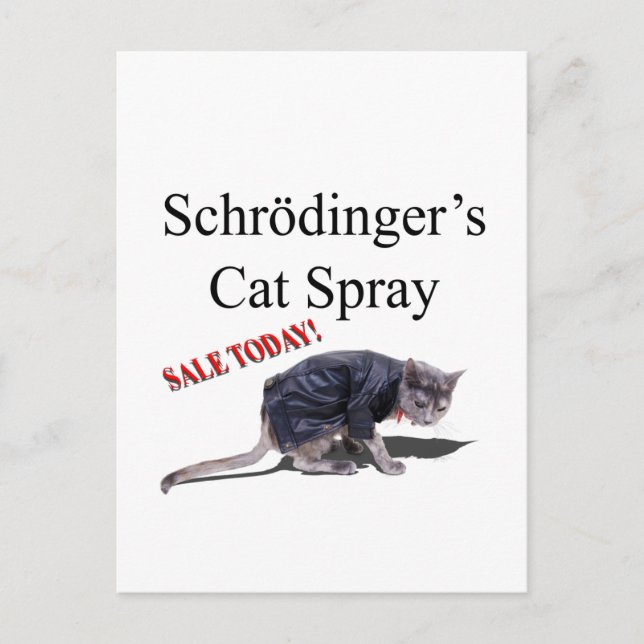 Schrodingercat Postkarte (Vorderseite)