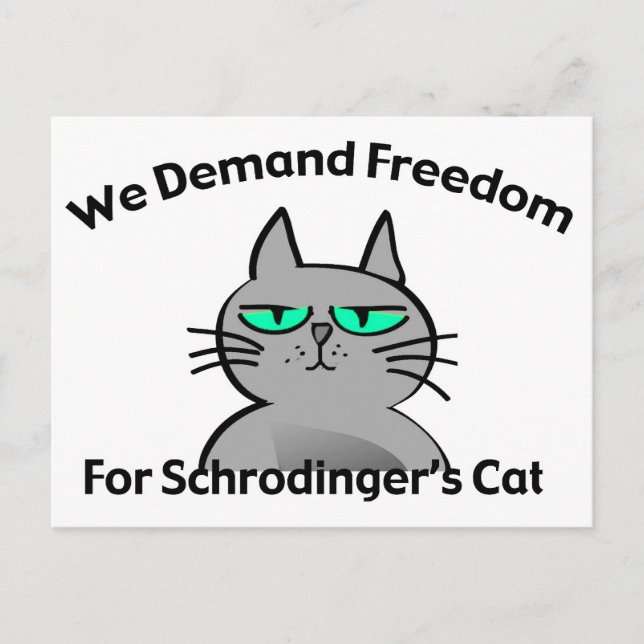 Schrodingers Cat Funny Geek-Spaß Postkarte (Vorderseite)