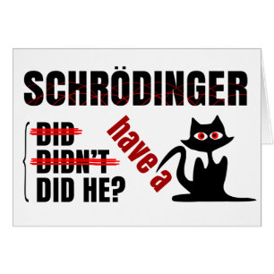 Schrodingers Dillema