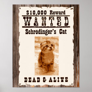 Schrodingers Katz gewollt Plakat