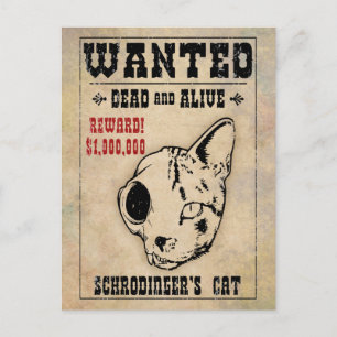 Schrödingers Katze gesucht II Postkarte