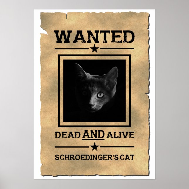 Schroedingers Katze Gewollt Poster | Physik Joke (Vorne)