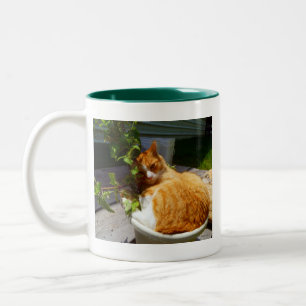 Schrottsammler in einem Topf Zweifarbige Tasse