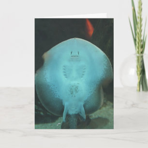 Schrullige Mantarochen-Gruß-Karte Karte