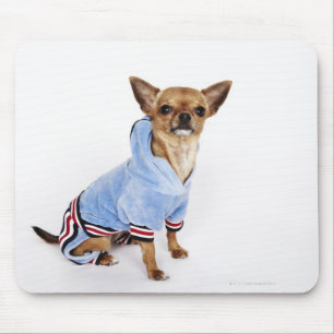 Schrulliges Porträt Teacup-Chihuahua Mousepad