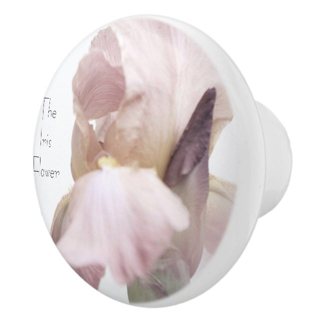 Schublade Pull Keramik Iris Blume Rosa/Lila Keramikknauf (Rechts)