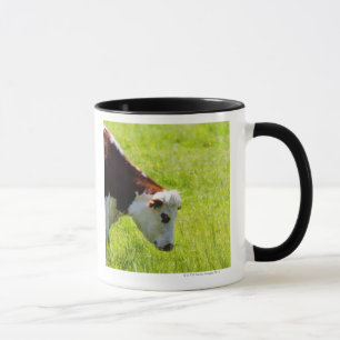 Schüchtern Sie das Weiden lassen auf einem Gebiet Tasse