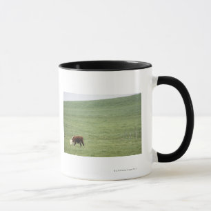 Schüchtern Sie das Weiden lassen in der Wiese, Tasse