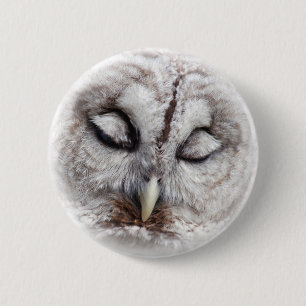 Schüchterne abgehaltene Eule Button