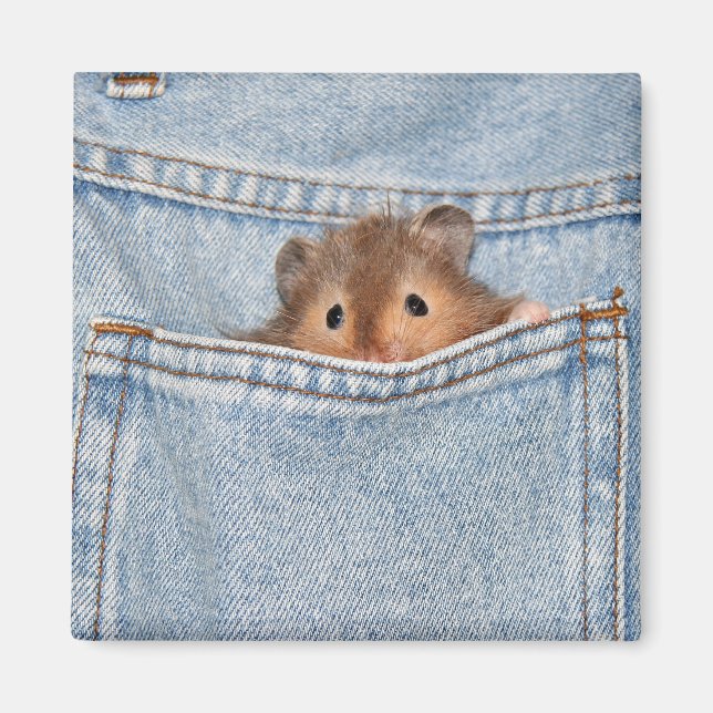 schüchterne Peekaboo Magnet (Vorne)