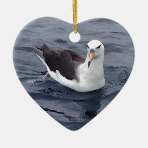 Schüchterner Albatros Keramik Ornament