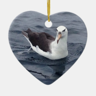 Schüchterner Albatros Keramik Ornament