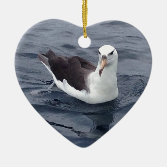 Schüchterner Albatros Keramik Ornament (Vorne)