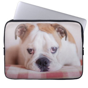 Schüchterner englischer Bulldoggen-Welpe Laptopschutzhülle