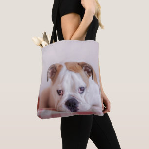 Schüchterner englischer Bulldoggen-Welpe Tasche