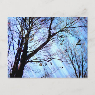 Schuhbaum Postkarte