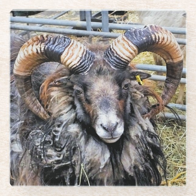 SCHUHE GLASUNTERSETZER (Vorderseite)