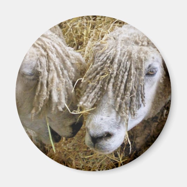 SCHUHE MAGNET (Vorne)