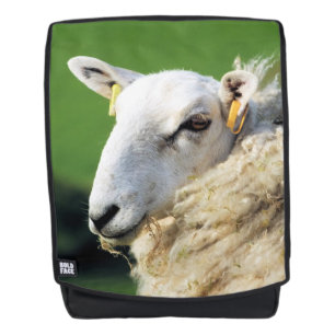 SCHUHE RUCKSACK