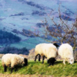 SCHUHE VERSILBERTE KETTE<br><div class="desc">Ein schönes digitales Ölgemälde von Schafen,  einige der fleißigen Bauernmädchen. Wales UK.</div>