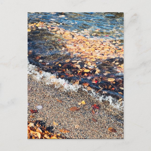 Schulbucht im Herbst Postkarte (Vorderseite)