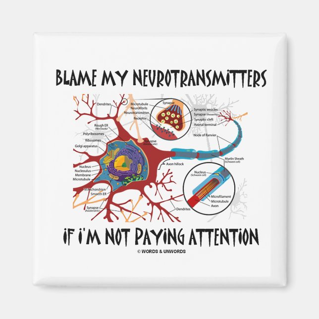Schuld an meinen Neurotransmittern, wenn sie nicht Magnet (Vorne)