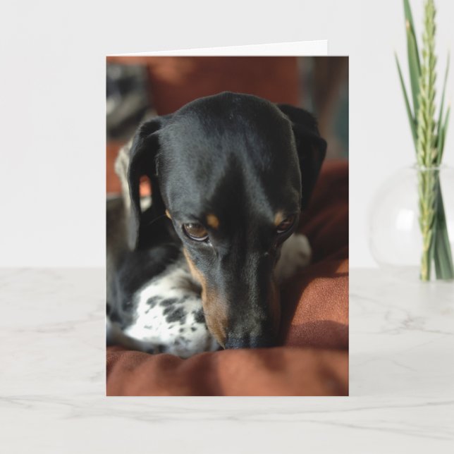 Schuld Karte (Vorderseite)