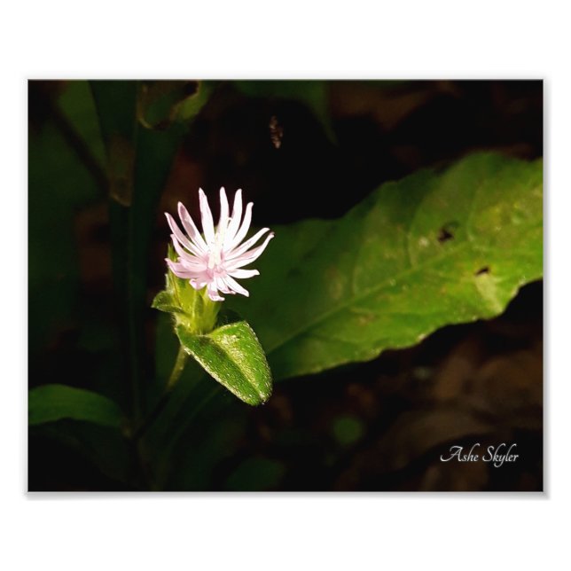 Schulden Fotodruck (Vorne)