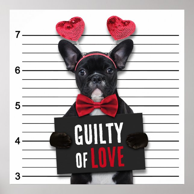 Schuldige Liebe Mugshot Dog Funny Valentine's Day Poster (Vorne)