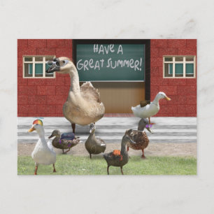 Schule aus, kleine Entenküken mit Gänselehrerin Postkarte