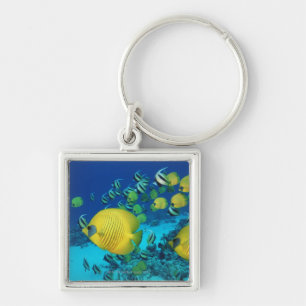 Schule der Schmetterlings-Fisch-Schwimmens auf dem Schlüsselanhänger