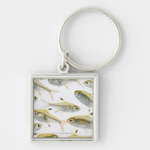 Schule der Tetra- Fische des Röntgenstrahls Schlüsselanhänger