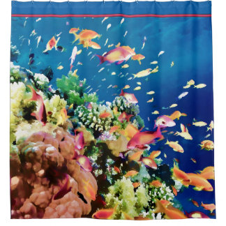 Schule der tropischen Fische im Ozean-Riff Duschvorhang