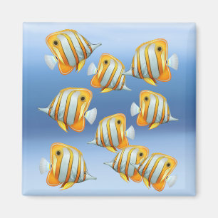 Schule des Copperband Magnet