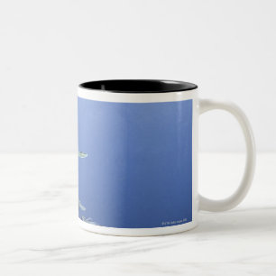 Schule des Tintenfischs in den Karibischen Meeren Zweifarbige Tasse