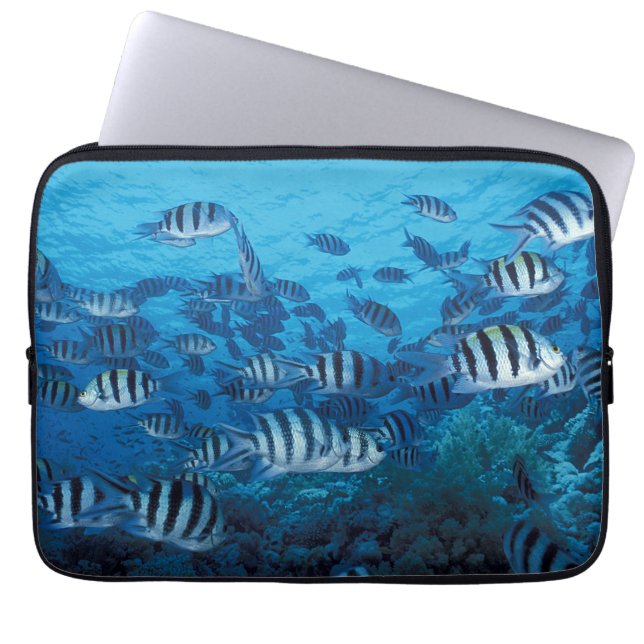 Schule für gestreiften Fisch Laptop-Sieb Laptopschutzhülle (Vorderseite)