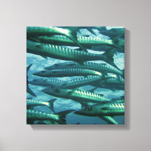 Schule für grüne Fische Canvas Print