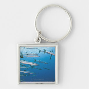 Schule von blackfin Barracuda (Sphyräna qenie) Schlüsselanhänger