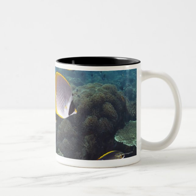 Schule von Fischen 2 Zweifarbige Tasse (Rechts)