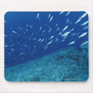 Schule von Fischen 6 Mousepad