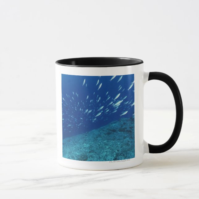 Schule von Fischen 6 Tasse (Rechts)