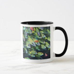 Schule von Fischen 7 Tasse