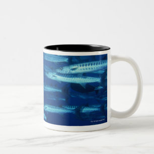 Schule von Fischen 9 Zweifarbige Tasse