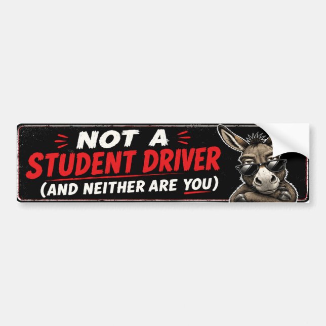Schüler-Fahrer-Aufkleber Autoaufkleber (Vorne)