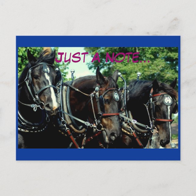 Schulferd Postkarte (Vorderseite)