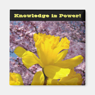 Schullocker Magnete Wissen ist Power! Magnet