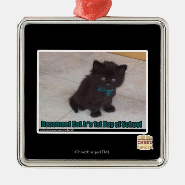 Schultag Silbernes Ornament (Vorne)