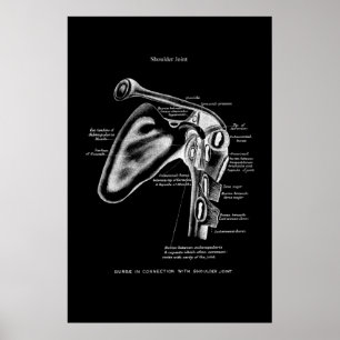 Schultergelenk Anatomy Medical Wall Decoder Poster