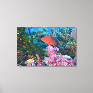 Schulung Fairy Basslets (Pseudanthias Leinwanddruck
